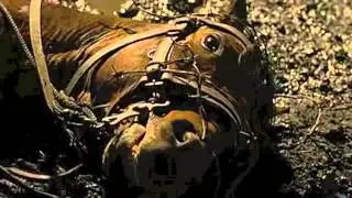 WarHorse Music Video ( Jimmy Eat World - Hear you me)