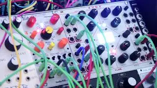 Flame instruments 4 VOX Quad Polyphonic Wavetable VCO & Funkstill -Threek 13700 morphing Filter