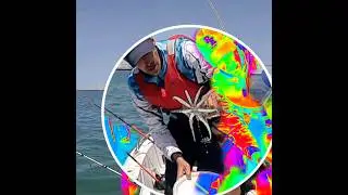 Predator 2024!!! 😬😬😬 #predator #fishing #choco #pescaria #pesque #pesca #algarve #pescaesportiva