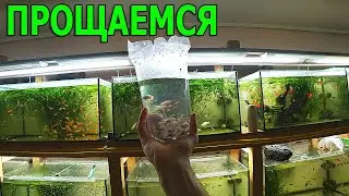 Попрощался с Бурунди