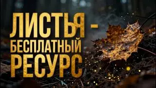 Листовой перегной как превратить осенний опад в бесплатное удобрение которое удваивает урожай