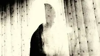 Flies Inside the Sun - angels