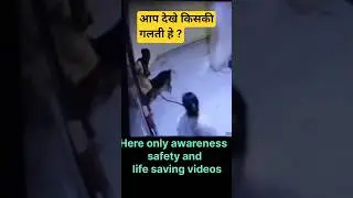 #dog #doglove #dogbite #rabiz #awareness #safety #lifesaversidea #motivation #motivational #facts