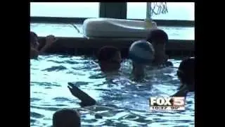 WATER WINGS SWIM SCHOOL in the News