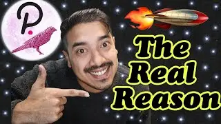 Dot cryptocurrency price prediction | Here's why Polkadot & Kusama will moon haaaard in 2021!
