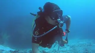 Dive in Lima Rock Musandam , Oman. | Feb 15, 2020