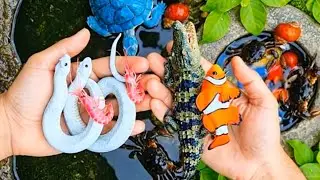 Ultimate Tropical Fish Fishing Adventures🐠 Explore the Exotic Underwater World/colourfulfishcatching