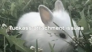Fix attachment issues (subliminal)