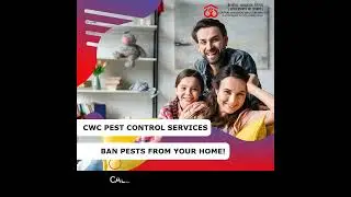 CWC Pest Control Services Noida | Home Pest Control Services Noida