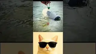 Fish dancing #jbl #fish #meme #expert #templatecapcut