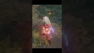 BACKHAND BLADES ARE FINE BECAUSE NO POKE MOVES AM I RIGHT? | Elden Ring