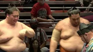 Ekoin: Temple of sumo... and more!