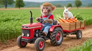 🐒🚜Monkey NaNa&rsquo;s Carrot Harvest Turns Into a Brave Rescue! He Saves a Bunny from a Deadly Accident!🐰💪