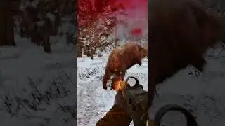 Mutant Boars Attack in Packs ☢️ (S.T.A.L.K.E.R. 2: Heart of Chornobyl)