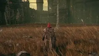 ELDEN RING&trade;_dlc solo wild pigknight