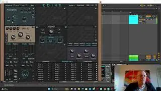 The crazy Petal Delay (Max for Life effect)