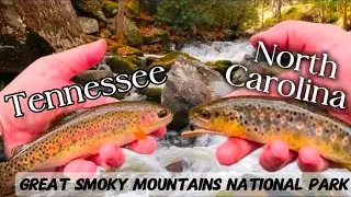 Two Day FLY FISHING Adventure | Great Smoky Mountains National Park | Tennessee And North Carolina 