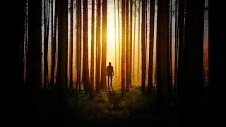 The Insides of Paranormal Content | Ghost Stories Horror LIVE #12