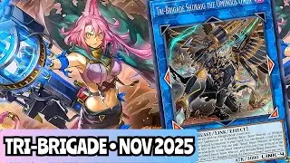 ЛУЧШИЙ! Профиль колоды Tri-Brigade Zoodiac! НОЯБРЬ 2025!