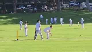 Sean Brett Cricket v Newington Feb 2025