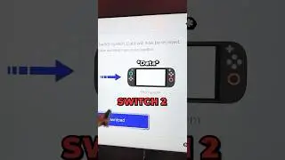 I Transferred My Nintendo Switch Data FOREVER