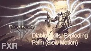Diablo III Beta: Monk - Exploding Palm (Slow Motion)