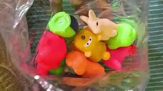 Meesho finds 12 pcs cute soft rubber  float squeezes  baby  toys