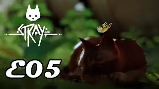 Stray - E05 - Playthrough