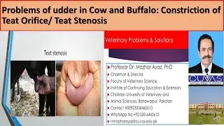 Teat Problem 1