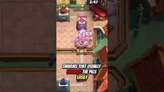 Эволюция Королевских Кабанов в Clash Royale