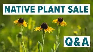 Native Plant Sale Q&A | Toledo Zoo