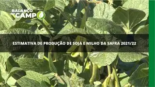 Estimativa de produ&ccedil;&atilde;o de soja e milho da safra 2021/22