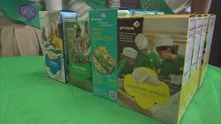 Lawsuit alleges toxins in Girl Scout cookies, sparking consumer concerns