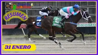 ✅RESUMEN 📽 martes 03 FEBRERO 2026, carreras caballos🏇 en el V Centenario💰