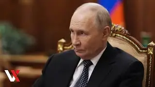 Putin Receives Credentials Of New Foreign Ambassadors In Kremlin | VERTEX