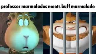 professor marmalade meets buff marmalade