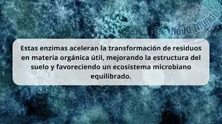 NOVOMAX BCP 85 INTRODUCCI&Oacute;N