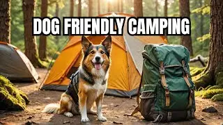 Dog Friendly Camping Adventures for National Camping Month!