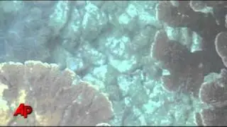 Florida's Pennekamp Coral Reef State Park