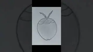 Easy Coconut Drawing #drawing #viral #art #trending