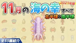 【あつ森】11月に捕れる海の幸を全てを紹介！出現時間や影のサイズ、捕まえ方、値段など徹底解説！センジュナマコやメンダコ、イセエビなどレアが大量【あつまれどうぶつの森　11月海の幸図鑑】