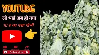 aaj market me sabji sasti vikiy hai to bhai log hamare dukan par jarur aaye