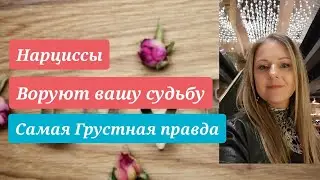 Нарциссы воруют вашу судьбу. Самая грустная правда #нарциссы #психология #нрл @SchastieEsc