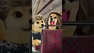 Я не смогла сдержаться в автобусе! 🚍😱