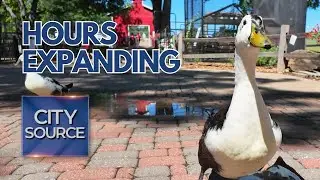 🦜 Animal Connection Experience at Fritz Park Expanding Hours