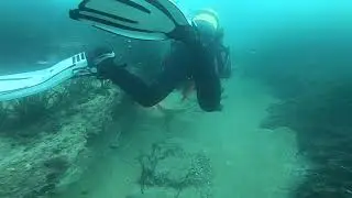 Inmersión en Cabo Huertas Alicante
