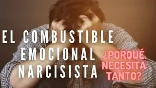 EL COMBUSTIBLE EMOCIONAL NARCISISTA ¿PORQUÉ NECESITA TANTO?/M.CECILIA PUIGBÓ,#narcisismo,#parejas,