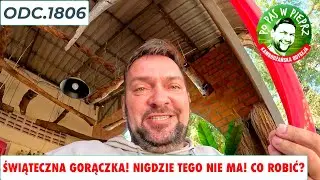 Świąteczna gorączka! Nigdzie nie mogę tego znaleźć! będzie wstyd... Odc.1806