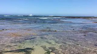 Mesmerising rock pool, Fingal Beach, Victoria, Australia