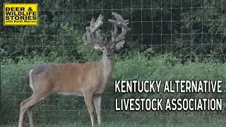 Kentucky Alternative Livestock Association | Deer & Wildlife Stories | Deer Farming